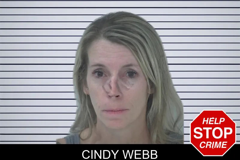 Cindy Webb mugshot