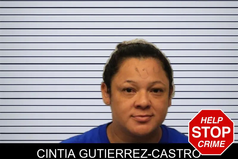 Cintia Gutierrez-Castro mugshot – Chatham County , Georgia Cintia Gutierrez-Castro mugshot