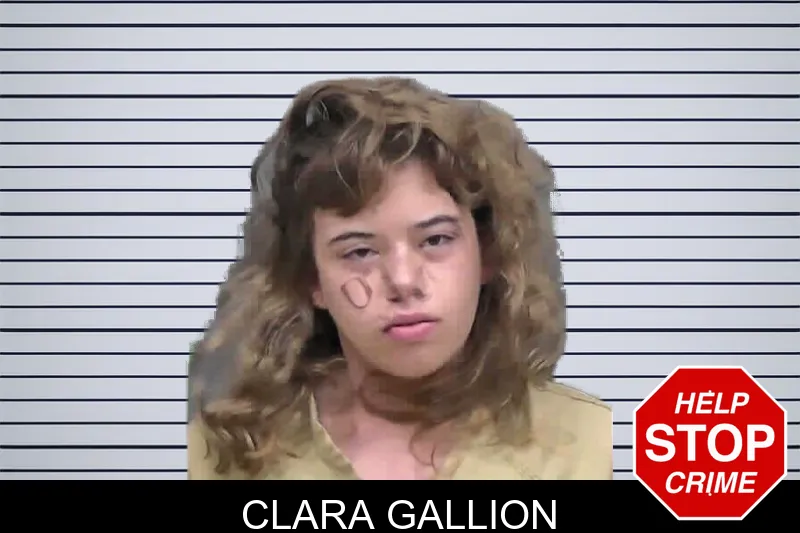 Clara Gallion mugshot – Gordon County , Georgia Clara Gallion mugshot
