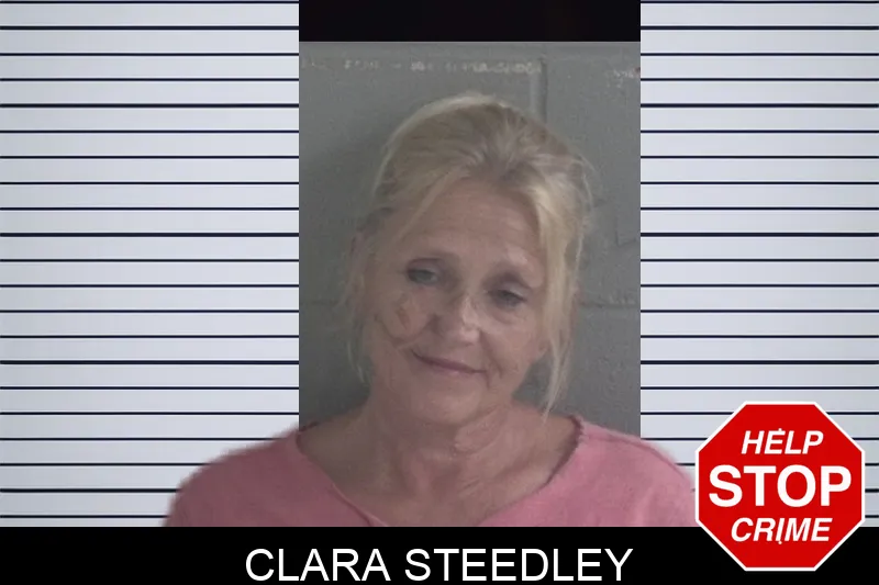 Clara Steedley mugshot – Brantley County , Georgia Clara Steedley mugshot