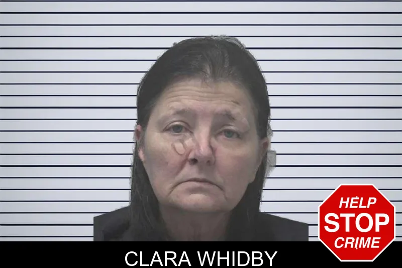 Clara Whidby mugshot – Coweta County , Georgia Clara Whidby mugshot