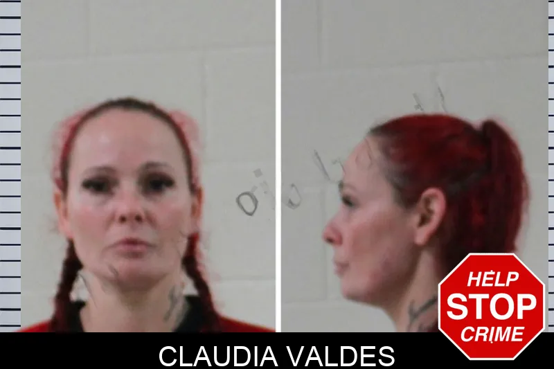 Claudia Valdes mugshot