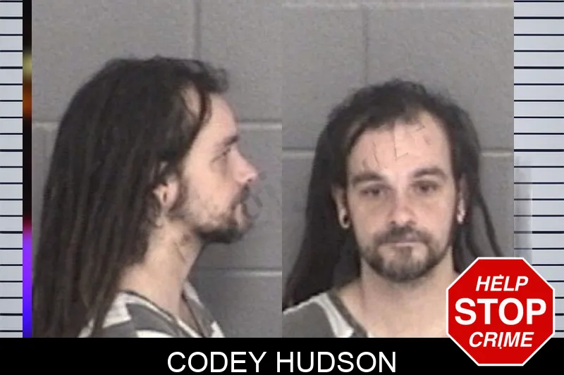 Codey Hudson mugshot