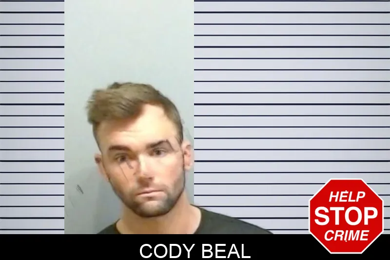 Cody Beal mugshot
