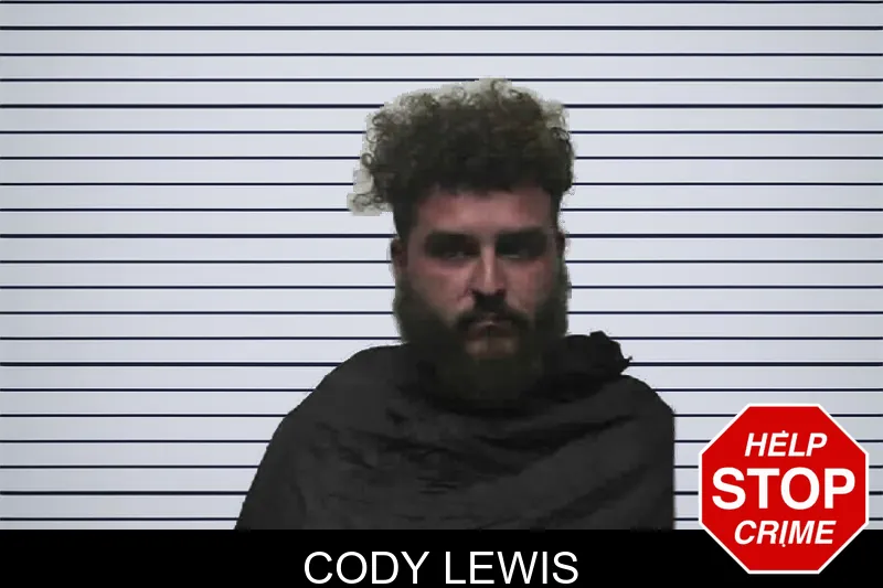 Cody Lewis mugshot