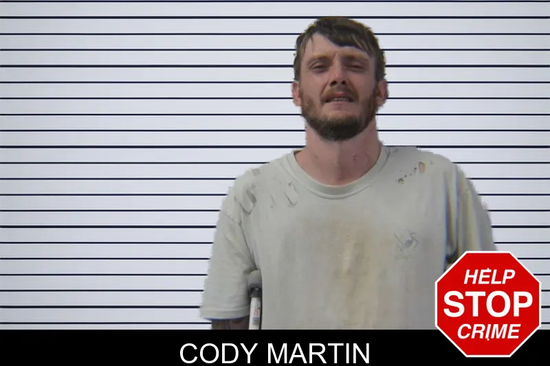 Cody Martin mugshot