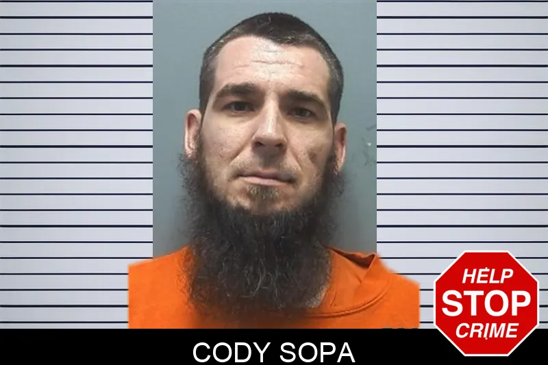 Cody Sopa mugshot – Cherokee County , Georgia Cody Sopa mugshot