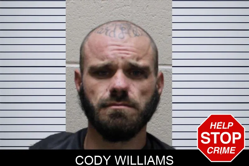 Cody Williams mugshot – Haralson County , Georgia Cody Williams mugshot