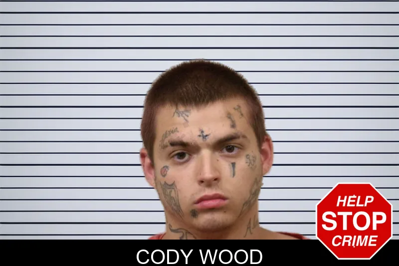 Cody Wood mugshot – Bulloch County , Georgia Cody Wood mugshot