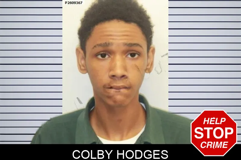 Colby Hodges mugshot – Chatham County , Georgia Colby Hodges mugshot