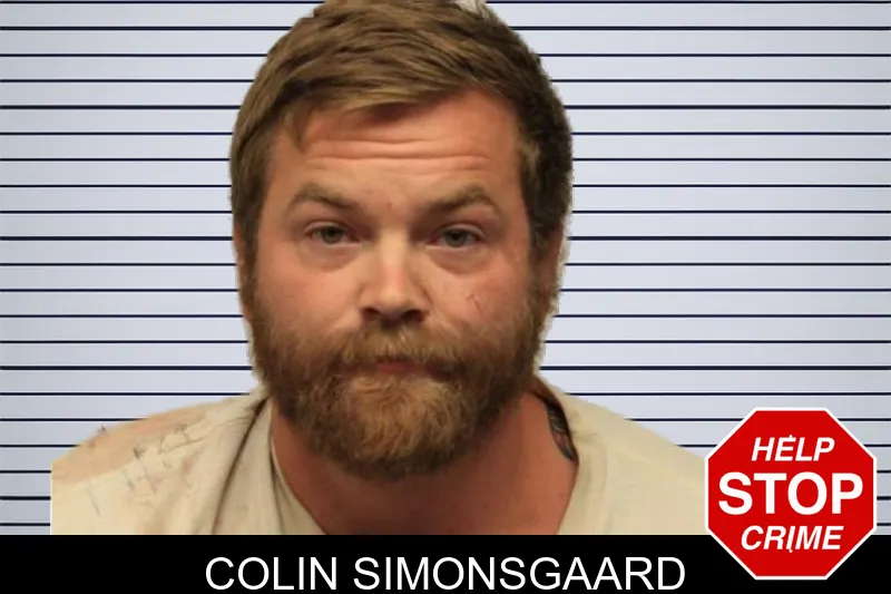 Colin Simonsgaard mugshot – Chatham County , Georgia Colin Simonsgaard mugshot