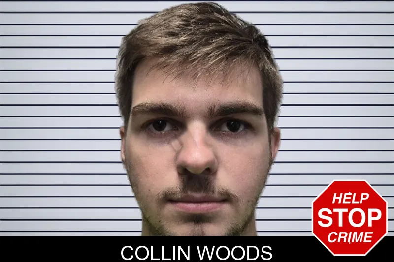 Collin Woods mugshot – Dade County , Georgia Collin Woods mugshot