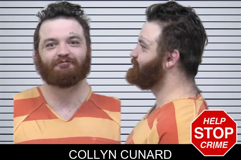 Collyn Cunard mugshot