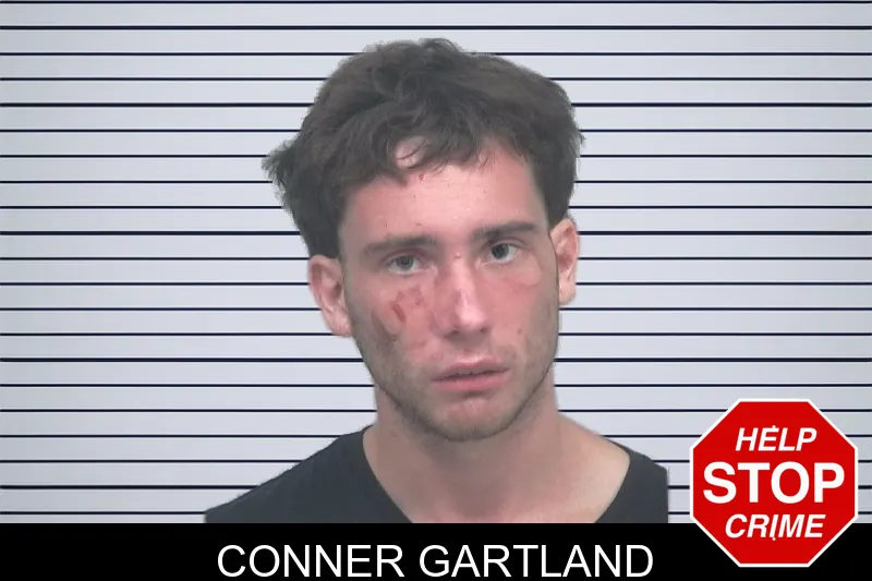 Conner Gartland mugshot – Gwinnett County , Georgia Conner Gartland mugshot