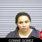 Connie Gomez mugshot