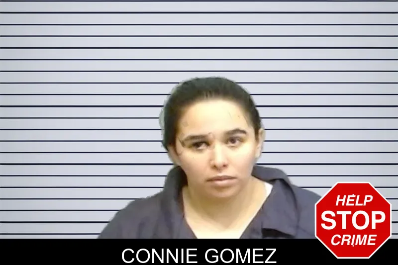 Connie Gomez mugshot – Fulton County , Georgia Connie Gomez mugshot