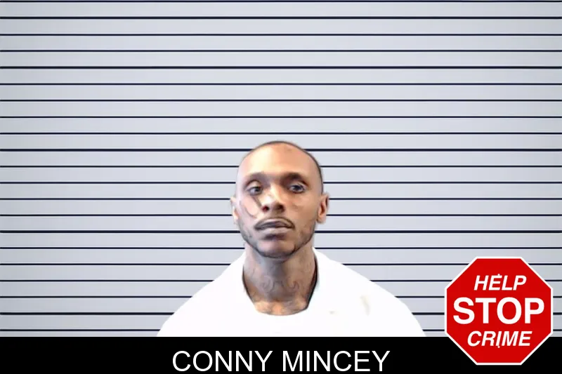 Conny Mincey mugshot – DeKalb County , Georgia Conny Mincey mugshot