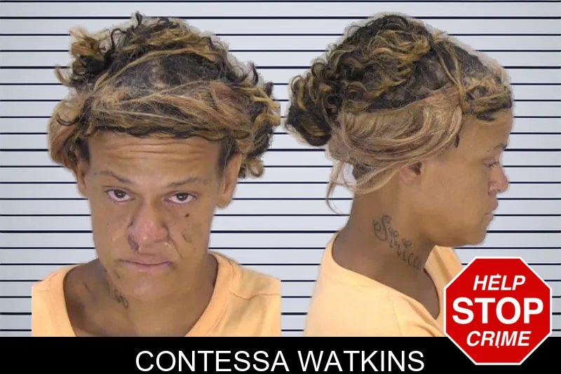 Contessa Watkins mugshot