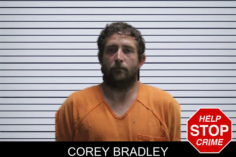 Corey Bradley mugshot