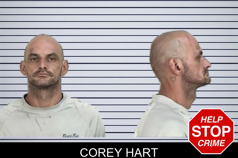 Corey Hart mugshot – Camden County , Georgia Corey Hart mugshot
