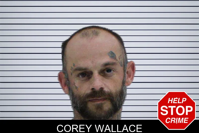 Corey Wallace mugshot