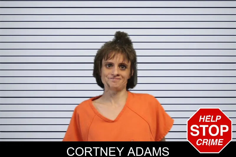 Cortney Adams mugshot – Lumpkin County , Georgia Cortney Adams mugshot