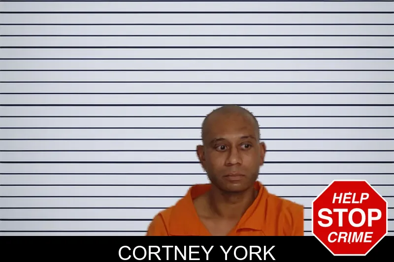 Cortney York mugshot – Rockdale County , Georgia Cortney York mugshot