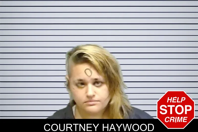 Courtney Haywood mugshot – Fulton County , Georgia Courtney Haywood mugshot