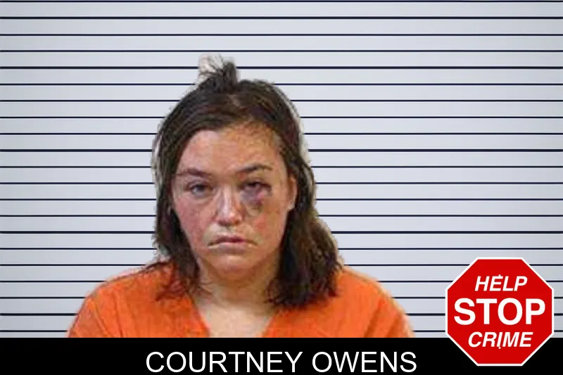 Courtney Owens mugshot – Polk County , Georgia Courtney Owens mugshot