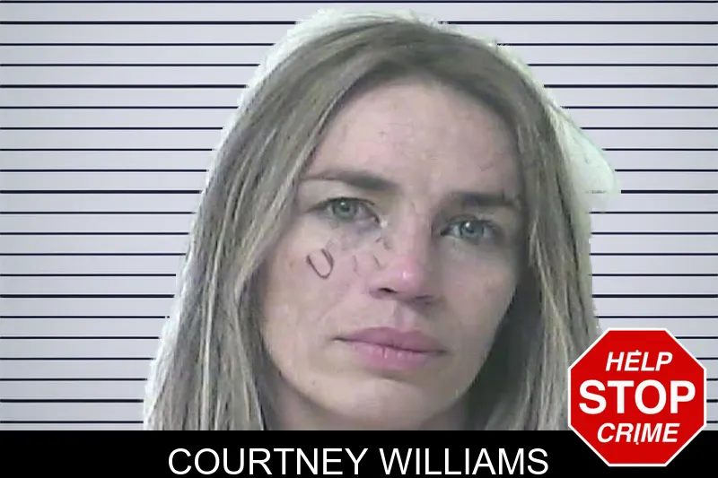Courtney Williams mugshot – Oconee County , Georgia Courtney Williams mugshot