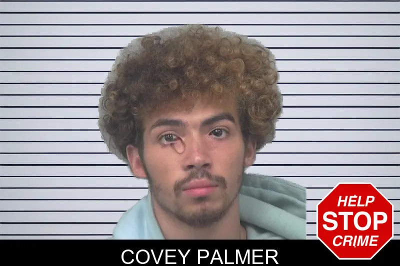 Covey Palmer mugshot – Gwinnett County , Georgia Covey Palmer mugshot