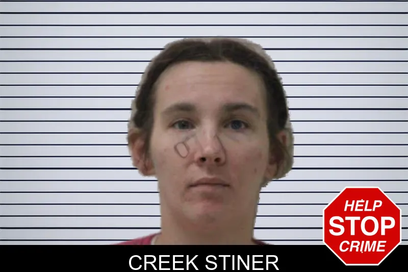 Creek Stiner mugshot
