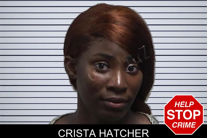 Crista Hatcher mugshot – Tift County , Georgia Crista Hatcher mugshot