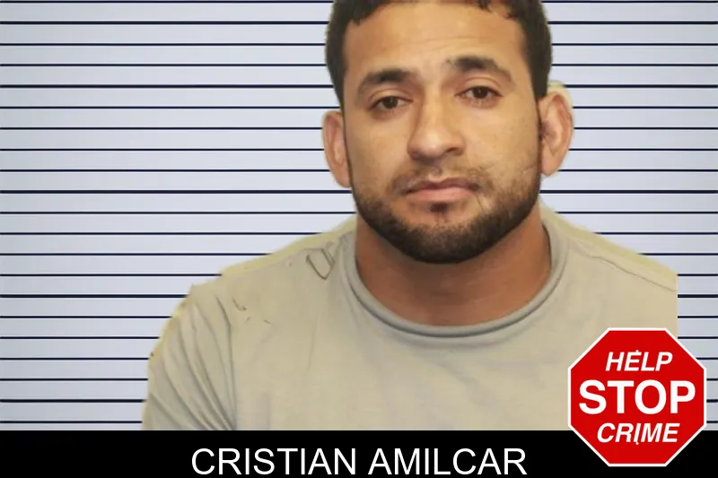 Cristian Amilcar mugshot – Chatham County , Georgia Cristian Amilcar mugshot