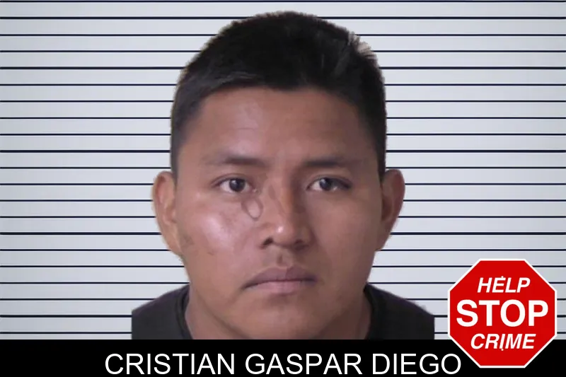 Cristian Gaspar Diego mugshot