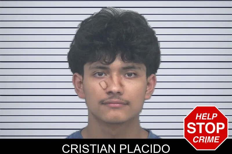 Cristian Placido mugshot – Gwinnett County , Georgia Cristian Placido mugshot