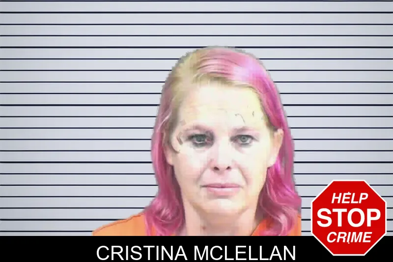 Cristina McLellan mugshot – Mitchell County , Georgia Cristina McLellan mugshot