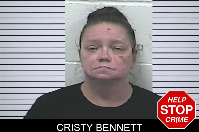 Cristy Bennett mugshot – Dawson County , Georgia Cristy Bennett mugshot