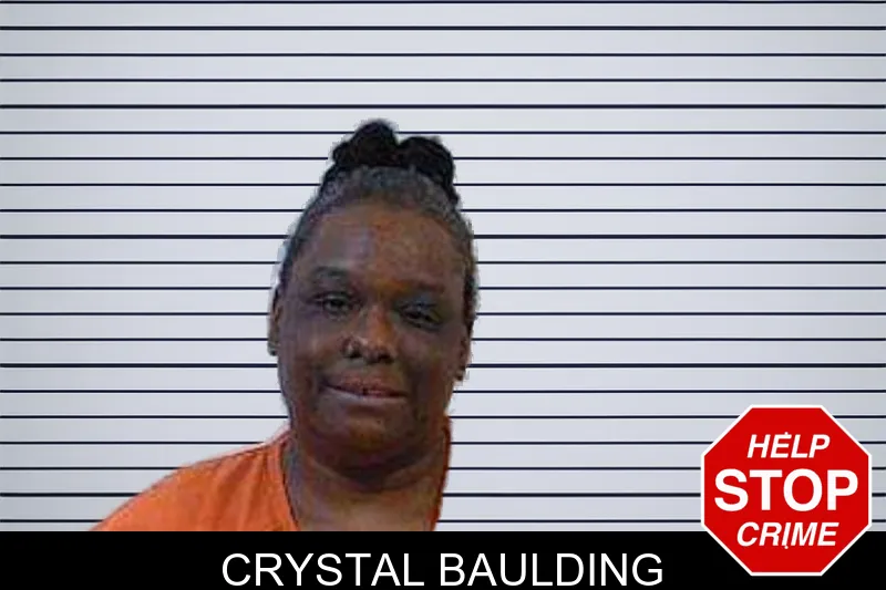 Crystal Baulding mugshot – Polk County , Georgia Crystal Baulding mugshot
