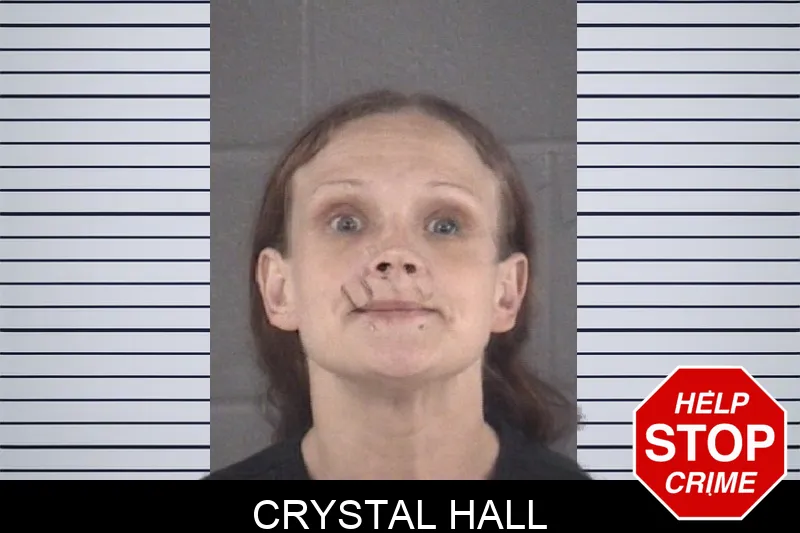 Crystal Hall mugshot – Spalding County , Georgia Crystal Hall mugshot