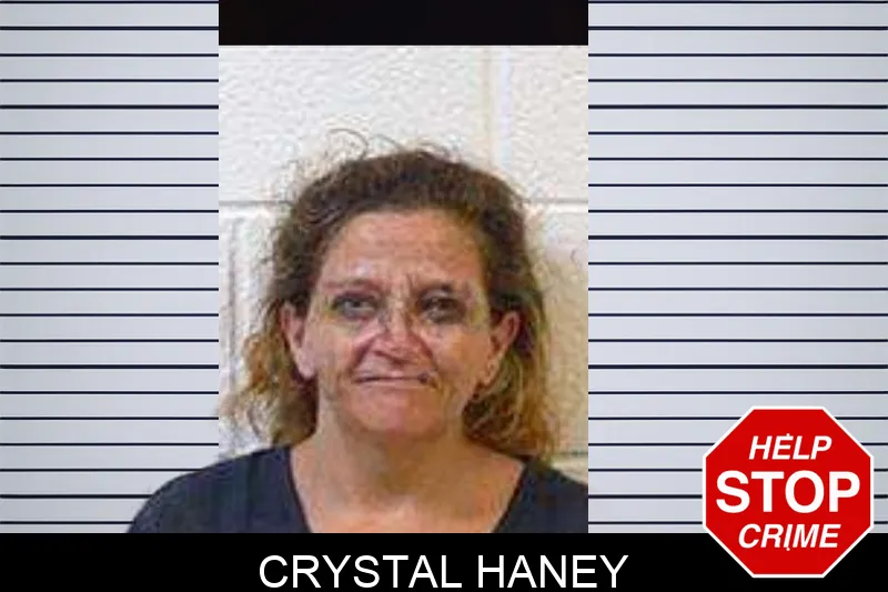 Crystal Haney mugshot – Polk County , Georgia Crystal Haney mugshot