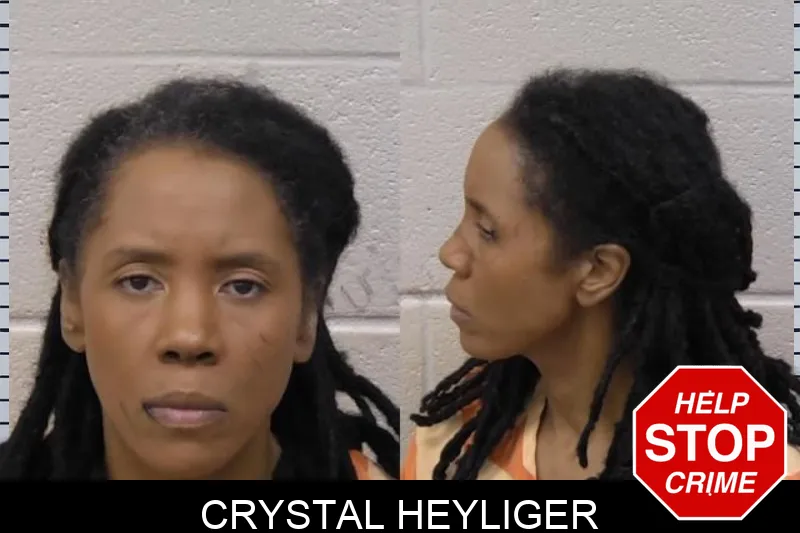 Crystal Heyliger mugshot