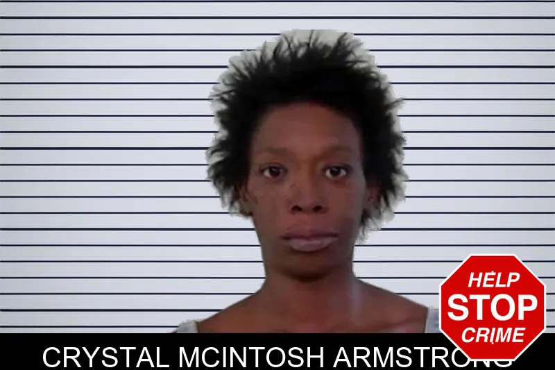 Crystal McIntosh Armstrong mugshot – Liberty County , Georgia Crystal McIntosh Armstrong mugshot