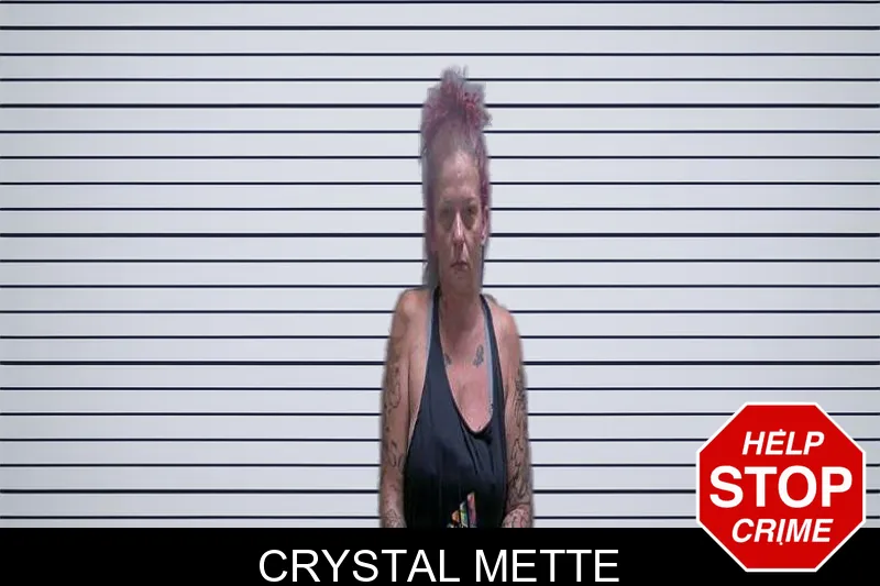 Crystal Mette mugshot