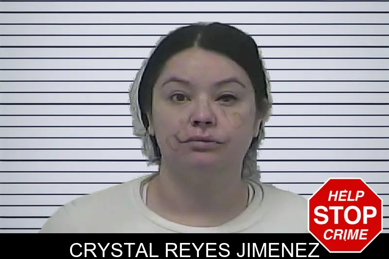 Crystal Reyes Jimenez mugshot – Dawson County , Georgia Crystal Reyes Jimenez mugshot
