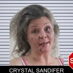 Crystal Sandifer mugshot – Houston County , Georgia Crystal Sandifer mugshot