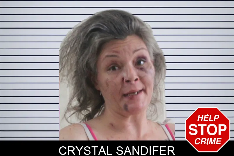 Crystal Sandifer mugshot – Houston County , Georgia Crystal Sandifer mugshot