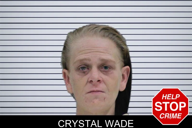 Crystal Wade mugshot – Rabun County , Georgia Crystal Wade mugshot