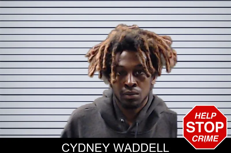 Cydney Waddell mugshot – DeKalb County , Georgia Cydney Waddell mugshot
