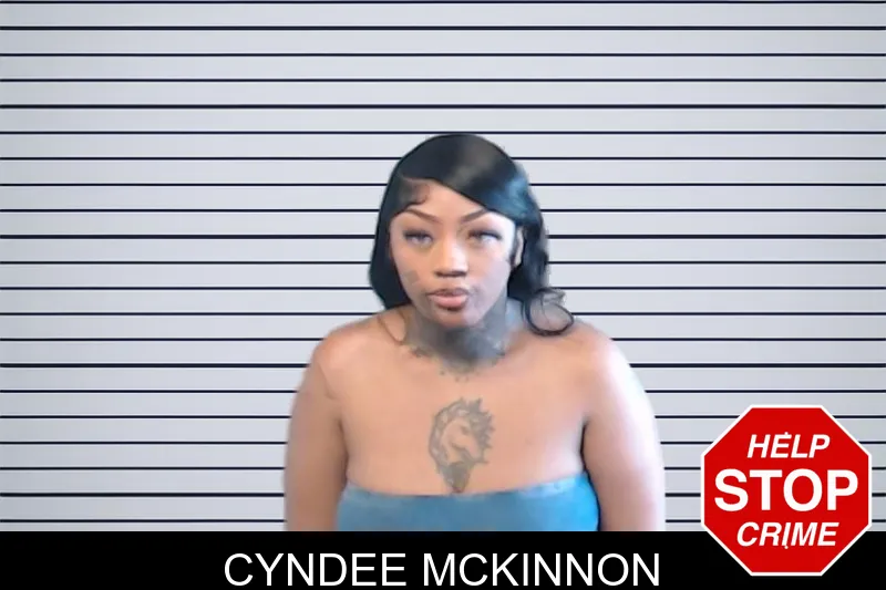 Cyndee McKinnon mugshot – DeKalb County , Georgia Cyndee McKinnon mugshot